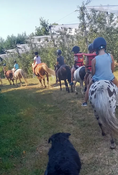 Centre Equestre l'Eperon Laurentais