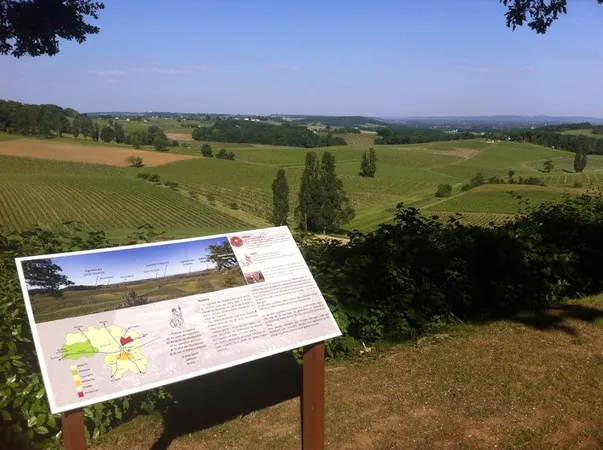 Château Bélingard SCEA