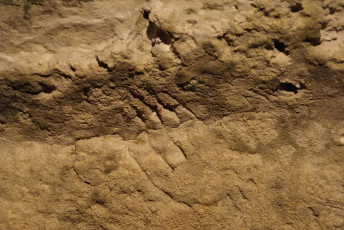 Grotte de Bara Bahau - Le Sanctuaire de l'Ours