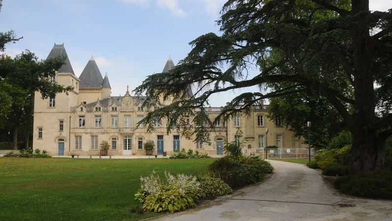 Bois de Thouars