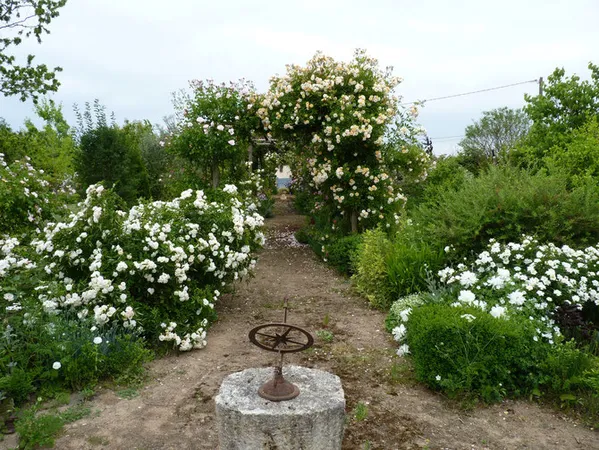 Le jardin de Mireille