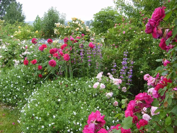 Le jardin de Mireille