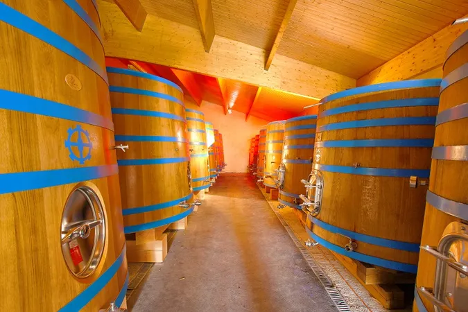 Château Cantinot