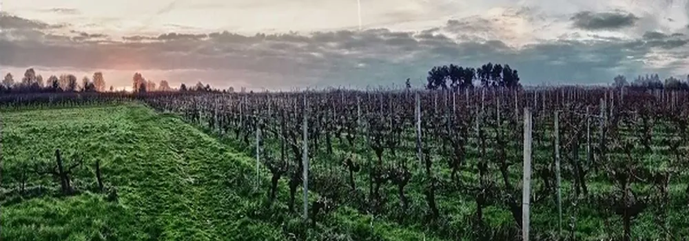 Château La Hourcade