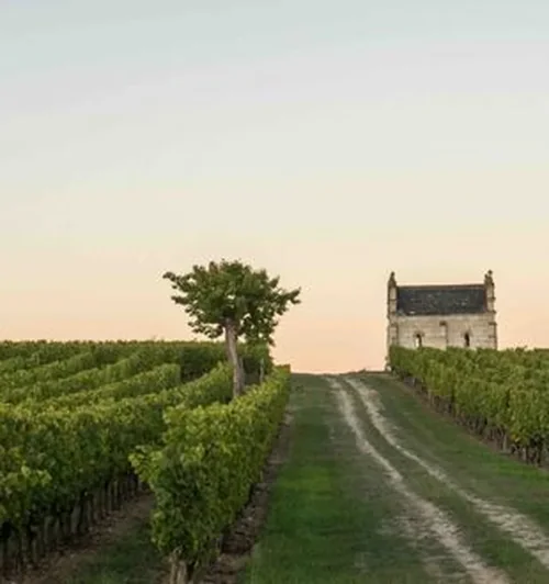 Château Coucy