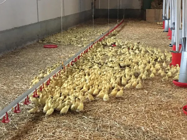 Ferme de la Garrigue Haute