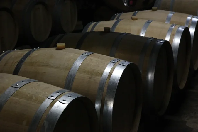 Château Montdoyen