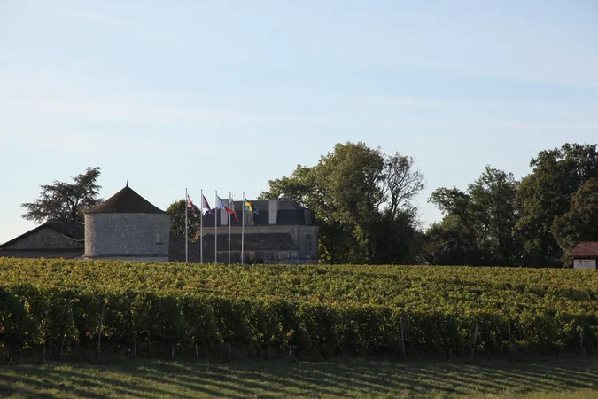 Château Montdoyen