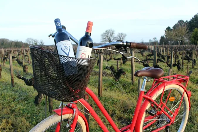 Wine and Bike au Château Loudenne