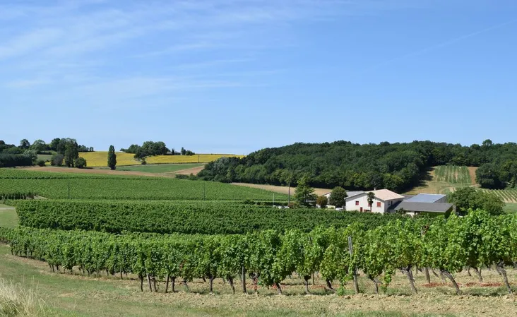 Château Les Brandeaux