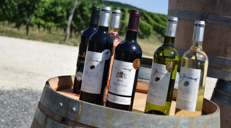 Château Les Brandeaux