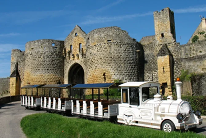 Le Petit Train Dommois