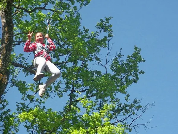 AccroZarbres - Parcours aventure