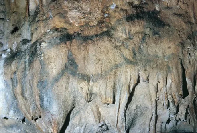 Grotte de Font-de-Gaume