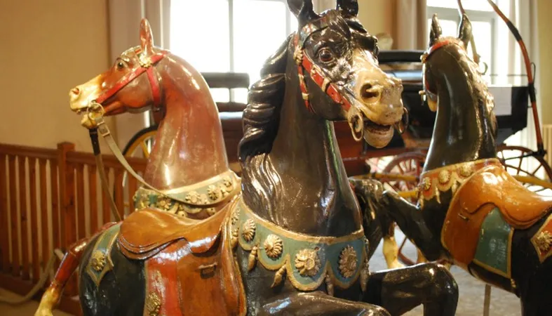 Musée de la Citadelle de Bourg, Souterrain et Calèches
