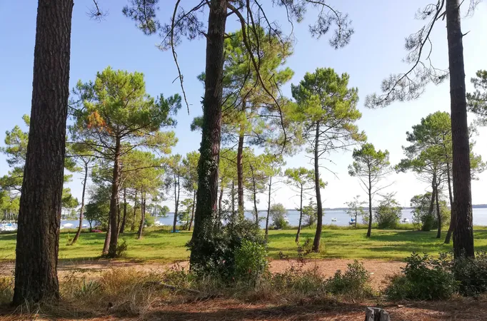 Lac de Lacanau