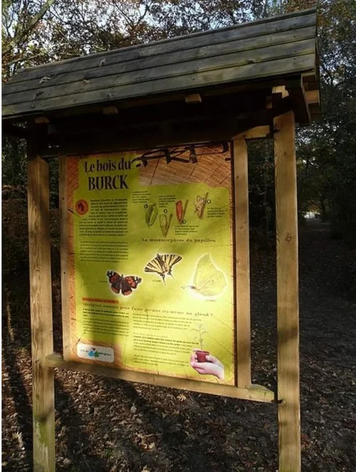 Bois du Burck