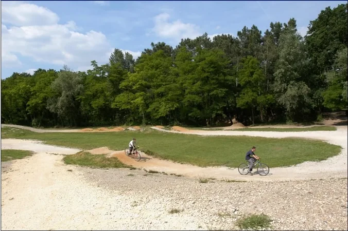 Bois du Burck