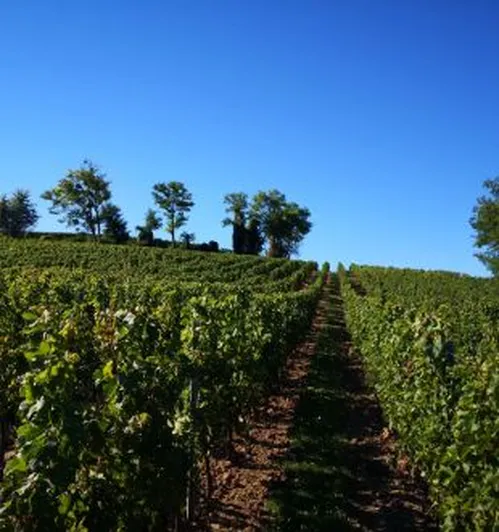 Château St-Ferdinand
