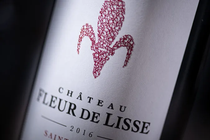 Château Fleur de Lisse