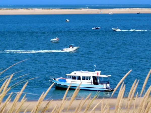 Cap' Tain Ferret