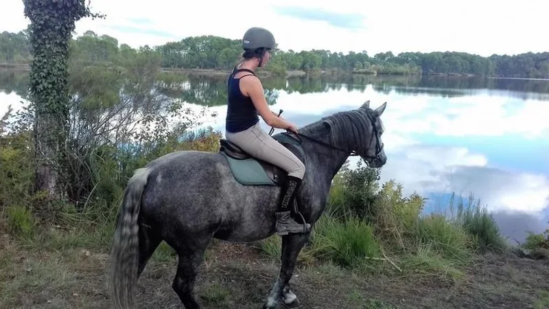 Les Ecuries du Lac d'Hostens