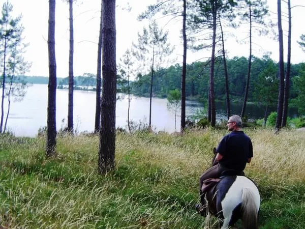 Les Ecuries du Lac d'Hostens