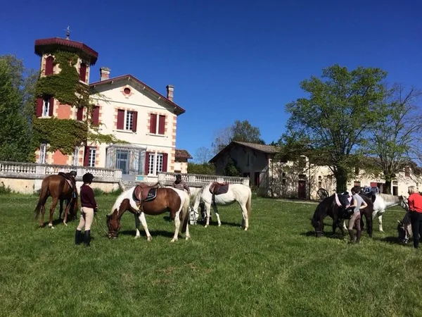Poney-Club du Château Perron