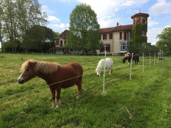 Poney-Club du Château Perron
