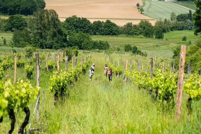 Domaine Les Hauts de Riquets