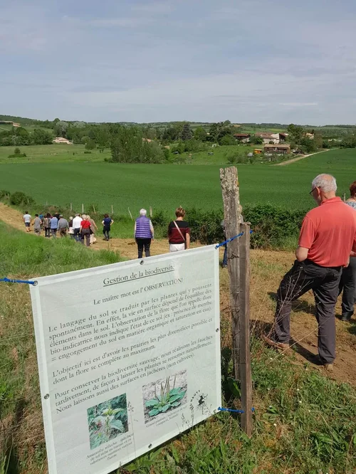 Domaine Les Hauts de Riquets