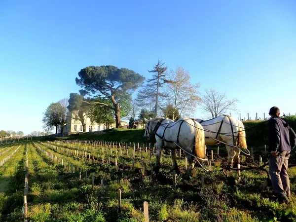 Château Tournefeuille