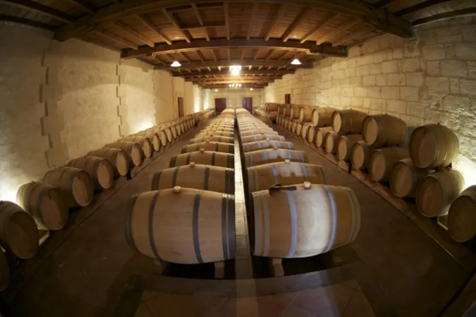 Château Tournefeuille