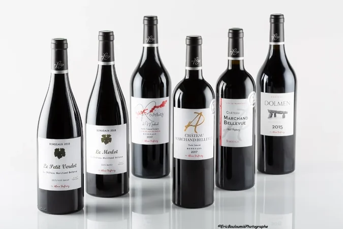 Vignobles Alain DUFOURG
