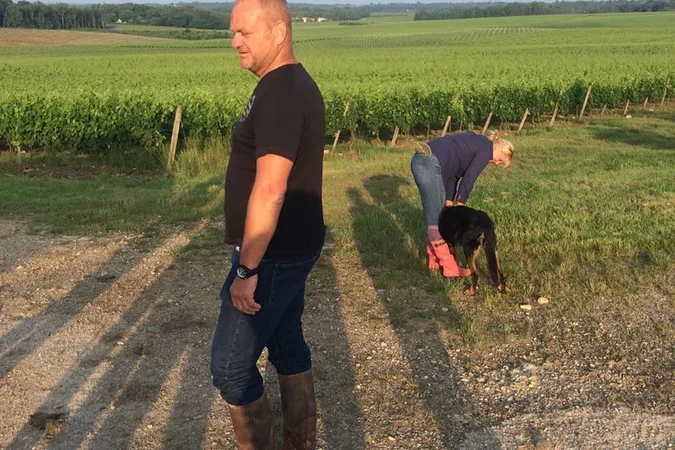 Vignobles Alain DUFOURG
