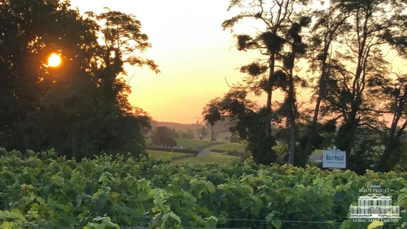 Château Haut Piquat
