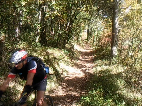 Bike Bus Dordogne