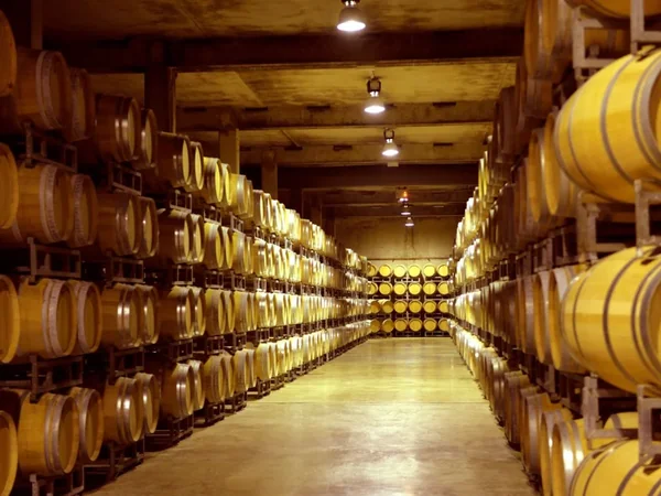 Union de Producteurs de Saint-Emilion