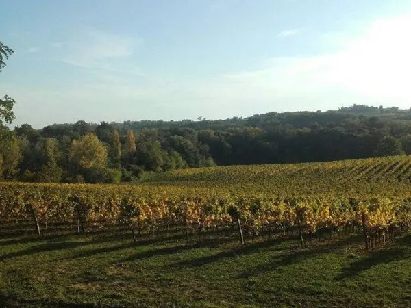 Château Haut-Pradot