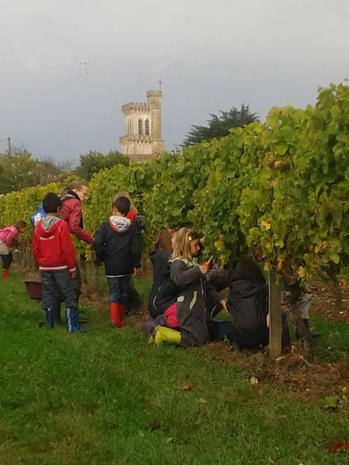 Domaine du Boyer