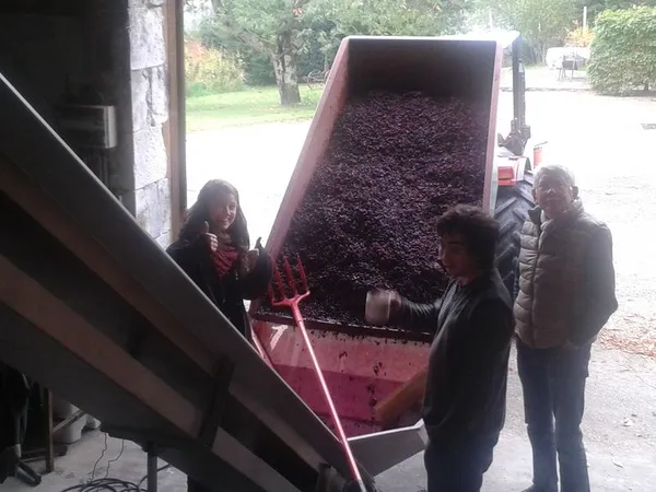 Domaine du Boyer