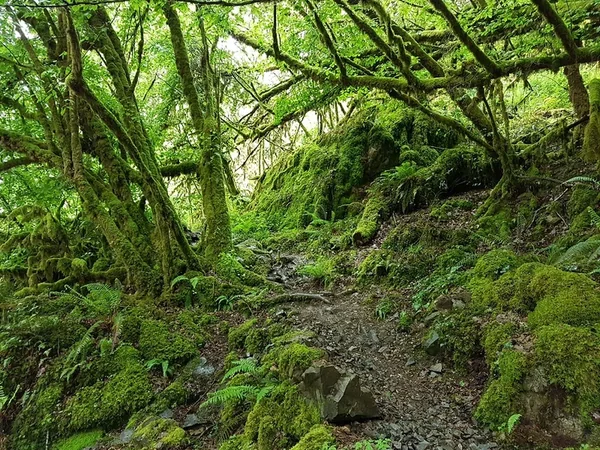 Gorges de l'Auvézère