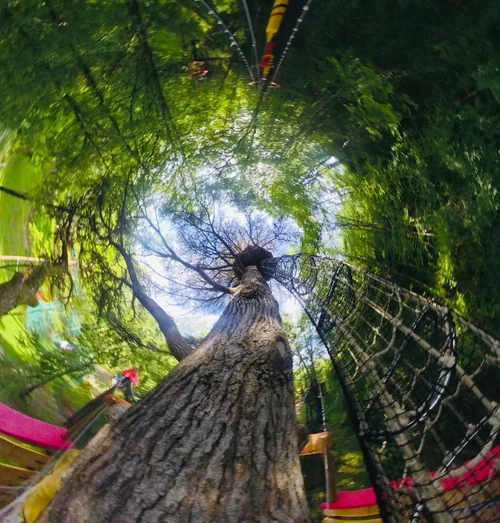 Le Bois des Lutins