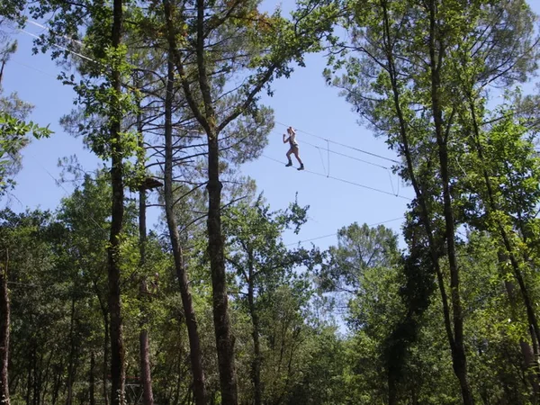 La Forêt des Ecureuils