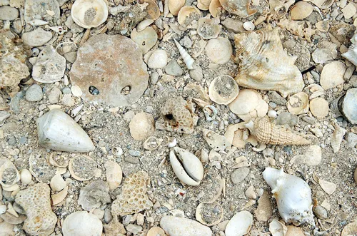 Réserve naturelle géologique de Saucats-La Brède