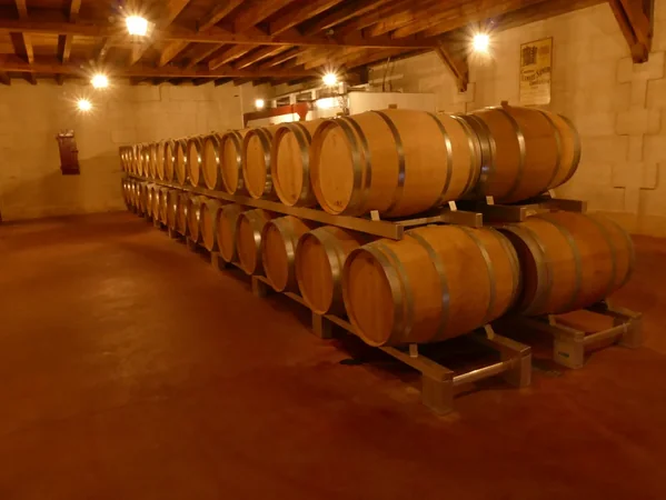 Château Laniote