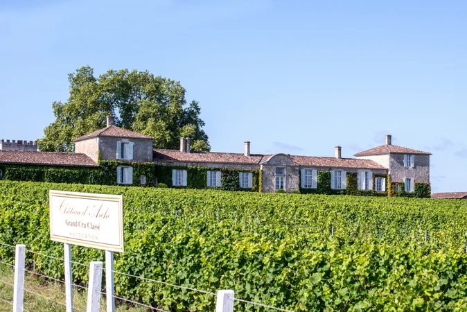 Château d'Arche
