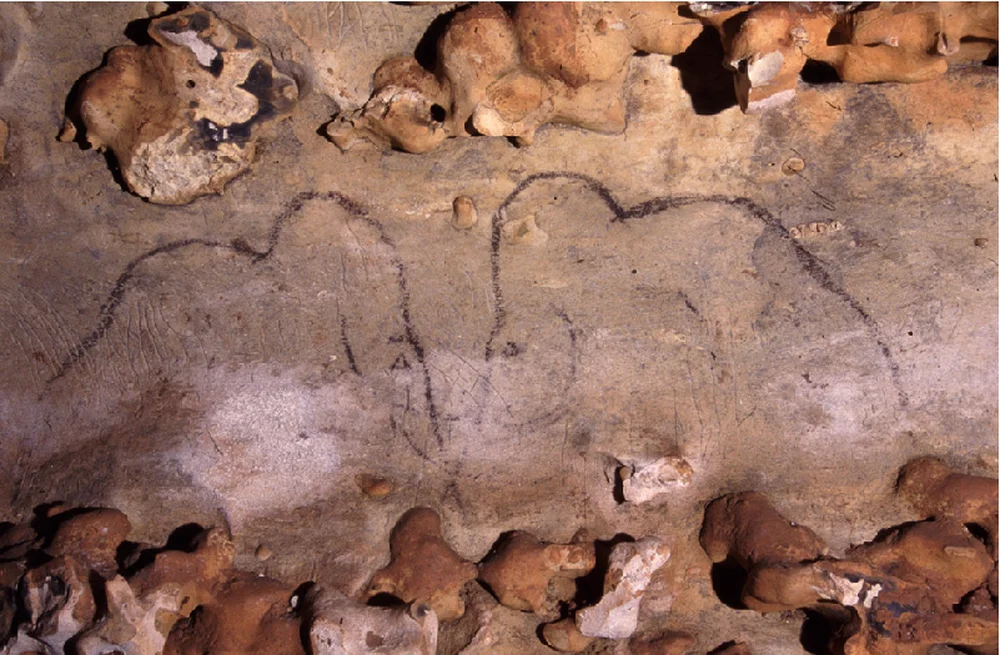 Grotte de Rouffignac