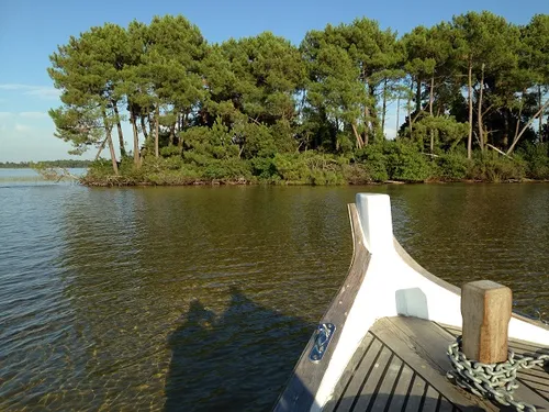 Robinson : balades en pinasse sur le lac de Lacanau