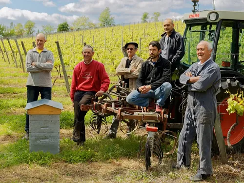 Les Vignerons du Brulhois